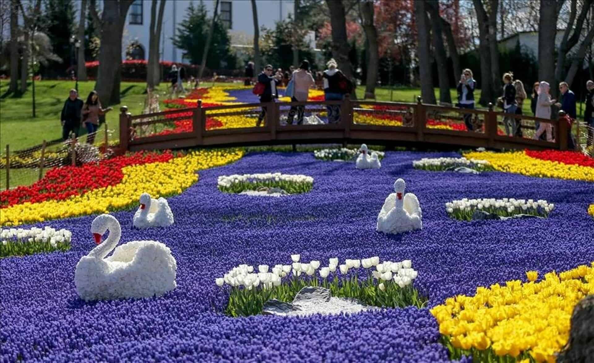Парк тюльпанов в Стамбуле