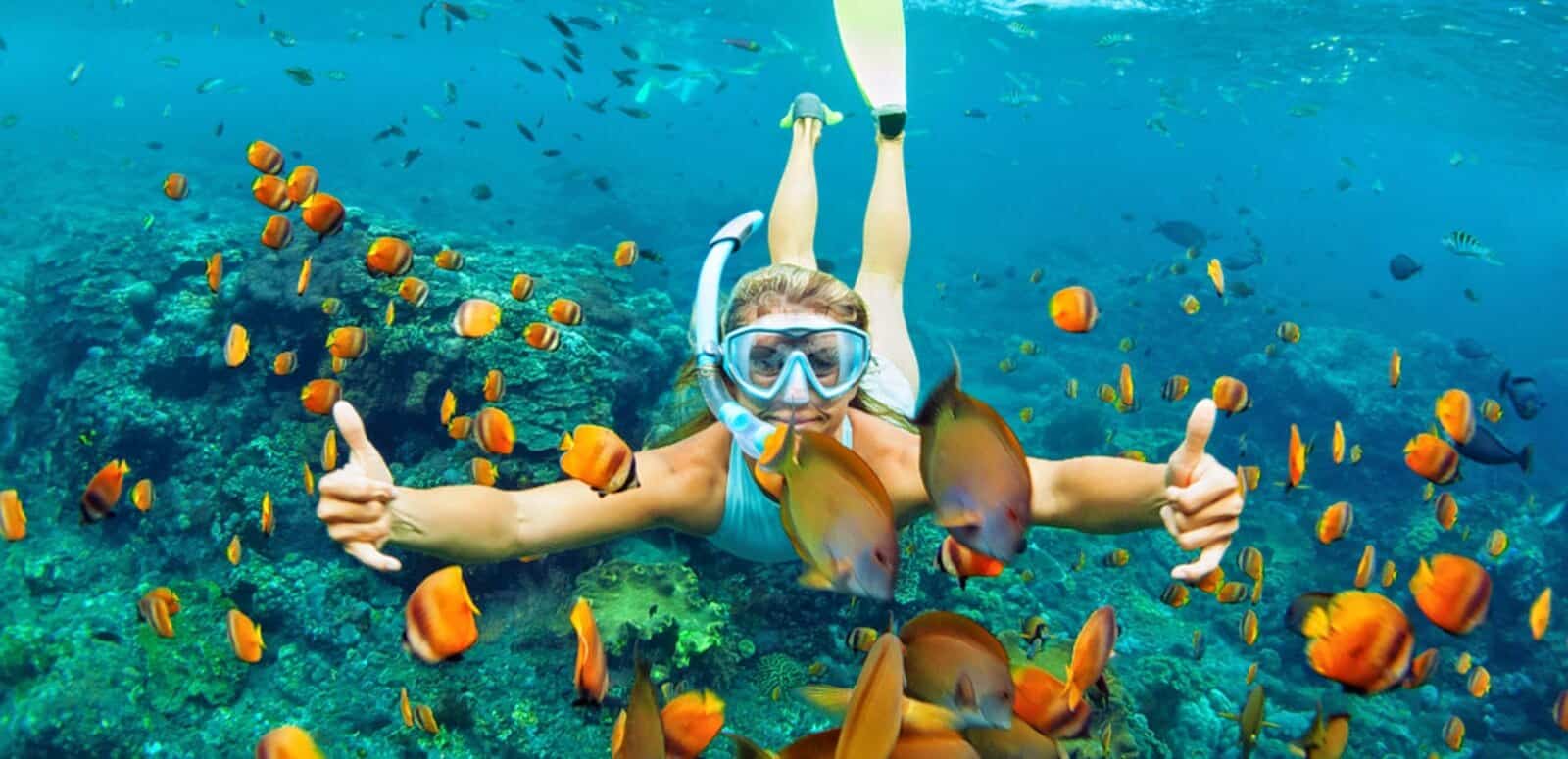 10 лучших отелей Египта для любителей кораллов и рыбок