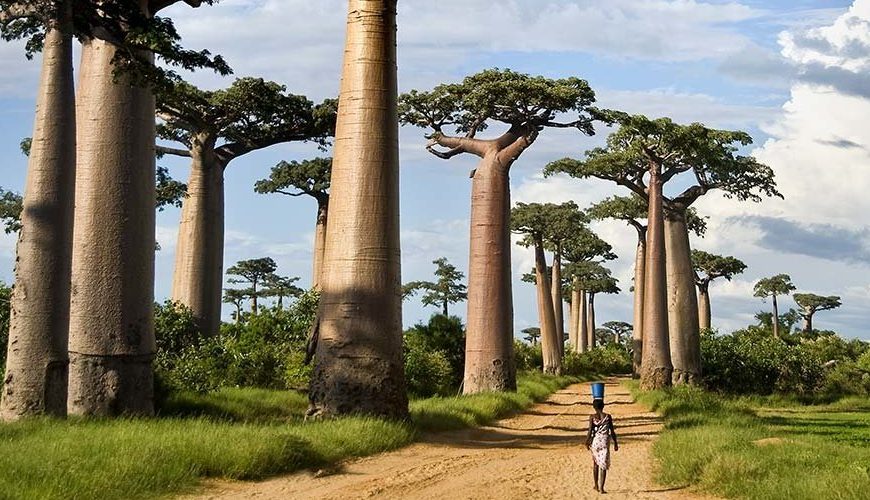Мадагаскар від 3900€ з перельотами, переїздами, екскурсіями