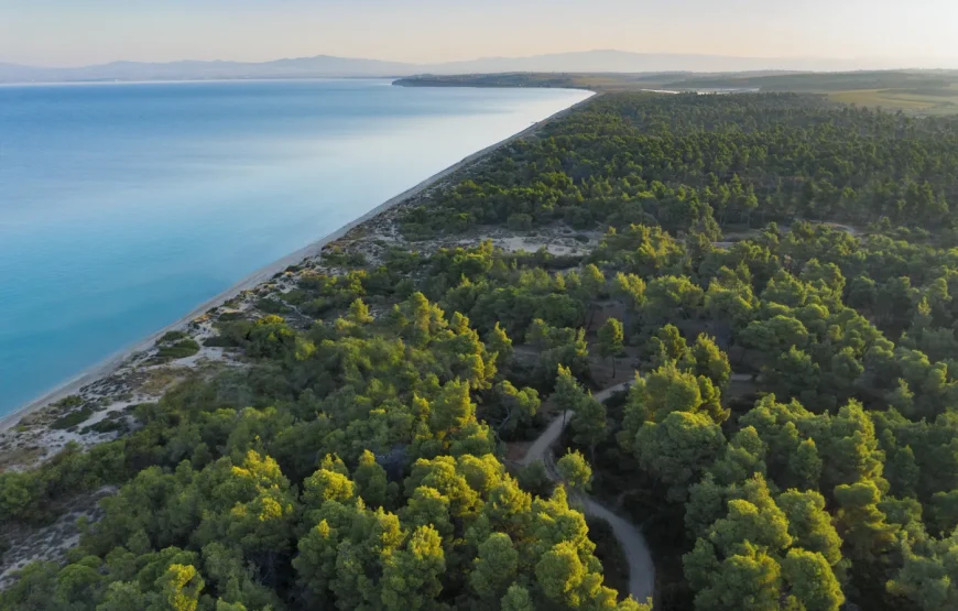 Sani Resort, Халкідіки — Ваш приватний світ розкоші та спокою
