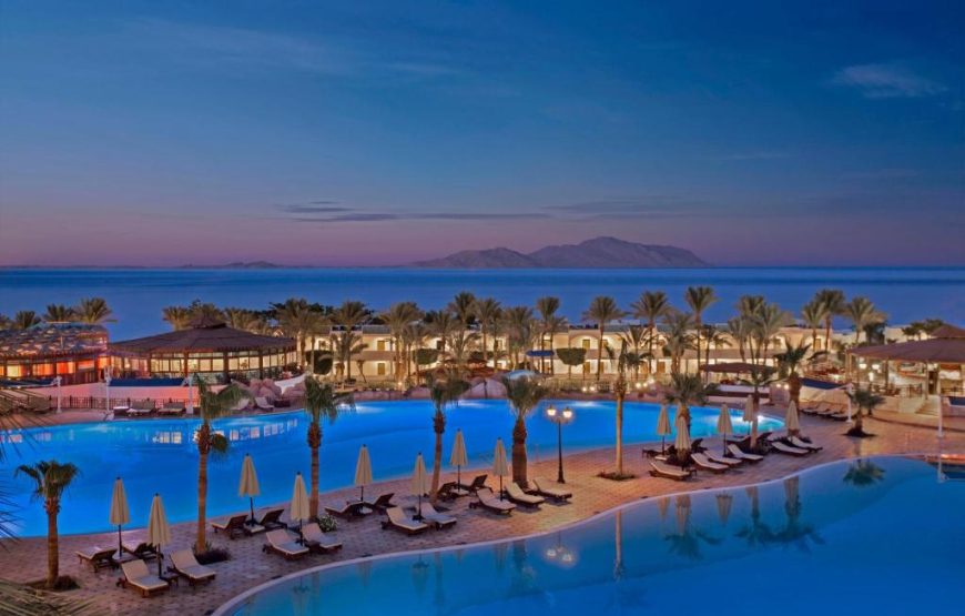 Египет, Шарм-эль-Шейх: любимая гостиница Sultan Gardens Resort 5* в бухте с красивым рифом Шаркс Бэй от 777€ – вылет из Ясс или Кишинева