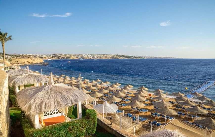 Египет, Шарм-эль-Шейх: любимая гостиница Sultan Gardens Resort 5* в бухте с красивым рифом Шаркс Бэй от 777€ – вылет из Ясс или Кишинева
